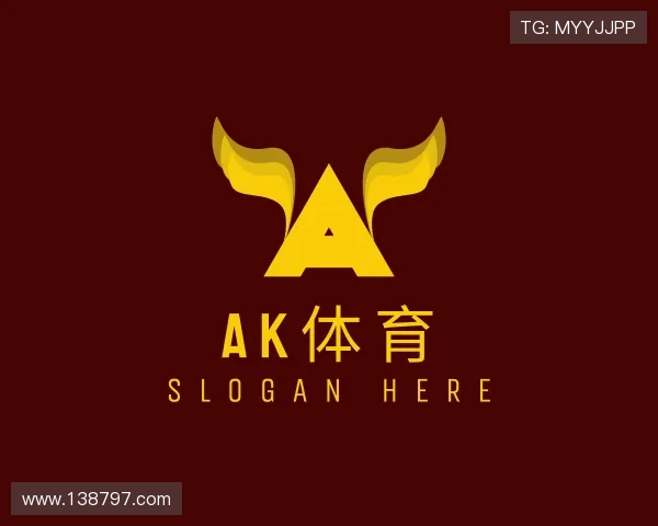 阐述ak体育